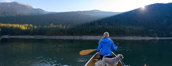 Action commerciale Investissement