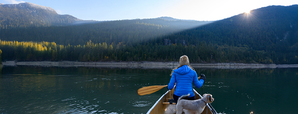 Action commerciale Investissement