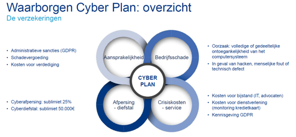 Waarborgen Cyber Plan